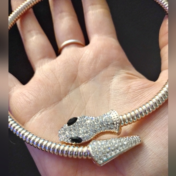 Silver Choker Snake Necklace NWOT - Picture 3 of 6